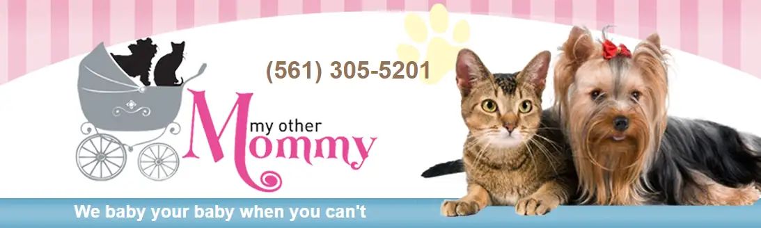 Professional Dog Walker Boca Raton by My Other Mommy Pet Sitting Services